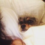 Elizabeth Reaser Instagram -