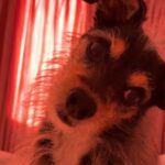 Elizabeth Reaser Instagram -