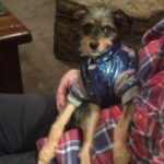 Elizabeth Reaser Instagram - Grandma is forcing him to wear this