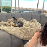 Elizabeth Reaser Instagram -