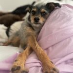 Elizabeth Reaser Instagram -