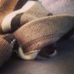 Elizabeth Reaser Instagram - Lazy Sunday. Photo by @gavinwiesen