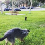 Elizabeth Reaser Instagram -