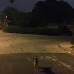 Elizabeth Reaser Instagram – Street dog