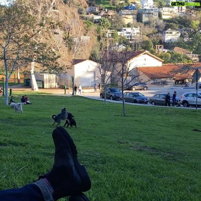 Elizabeth Reaser Instagram - Luther & Munk