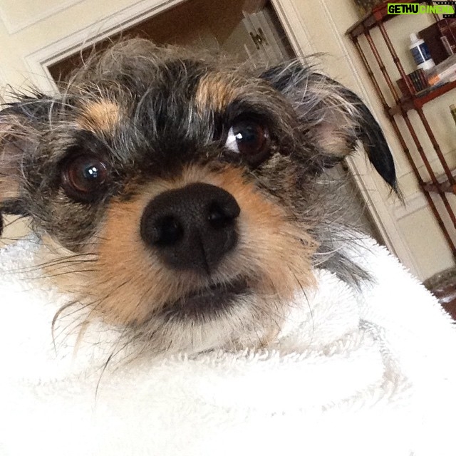 Elizabeth Reaser Instagram - Spa day bitches