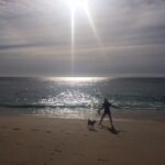Elizabeth Reaser Instagram - Lute on the beach