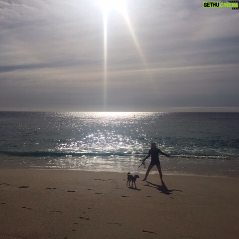 Elizabeth Reaser Instagram - Lute on the beach
