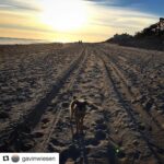 Elizabeth Reaser Instagram - Luther