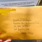 Elizabeth Rodriguez Instagram - I need to share this journey with you all. I’m currently not in CA (where I am a resident) so a friend FedEx my voting package to me. I was very concerned that it wouldn’t get back to CA promptly so I Fed Ex it to another friend “overnight” so that she would put it in a ‘Drop Off Box’. I checked in with her and asked if she had received the package. She had received a notification that it was delivered but she hadn’t gotten her mail. I was trying not to push her to get it ,as she was doing me a favor ( to her defense, she has done me many favors and she has been insanely busy and overworked) but I was freaking out inside. I texted her again with a “friendly reminder” the next day. Then this past Monday my biggest fear happened. MAIL HAD BEEN TAKEN FROM HER BUILDING. When we spoke she was stressed out , spending all morning trying to find it and figure out next steps. My ballot was found in the street and had been tampered with. I hung up in a Total Panic , started researching and spoke to someone in Sacramento that said it was too late to have another sent and gave me another number that got me no where. I started to look for a flight back to LA so I could vote in person. I became really emotional and could not stop crying. It triggered a lot for me as a Latina woman from a broken, lower working class home,around people that were convinced they had no power. I NEEDED to be part of this election more than anyone before. I spoke to her again about an hour later and She had spoken to someone at a voter’s registration office that told her as long as my signature matched (luckily that part of envelope was intact!), she could put it into another envelope and drop into “Drop Box”. I have been distressed all week about this but I woke up to an email that said “IT WAS RECEIVED AND WILL BE COUNTED” #VOTE #vota #BLM #shesepuede #latina #latinx #voteforchange #integrity #votehimout #thefuture