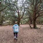 Ella Henderson Instagram - Recently 🌳🏛️👣✍🏼🎸🎶