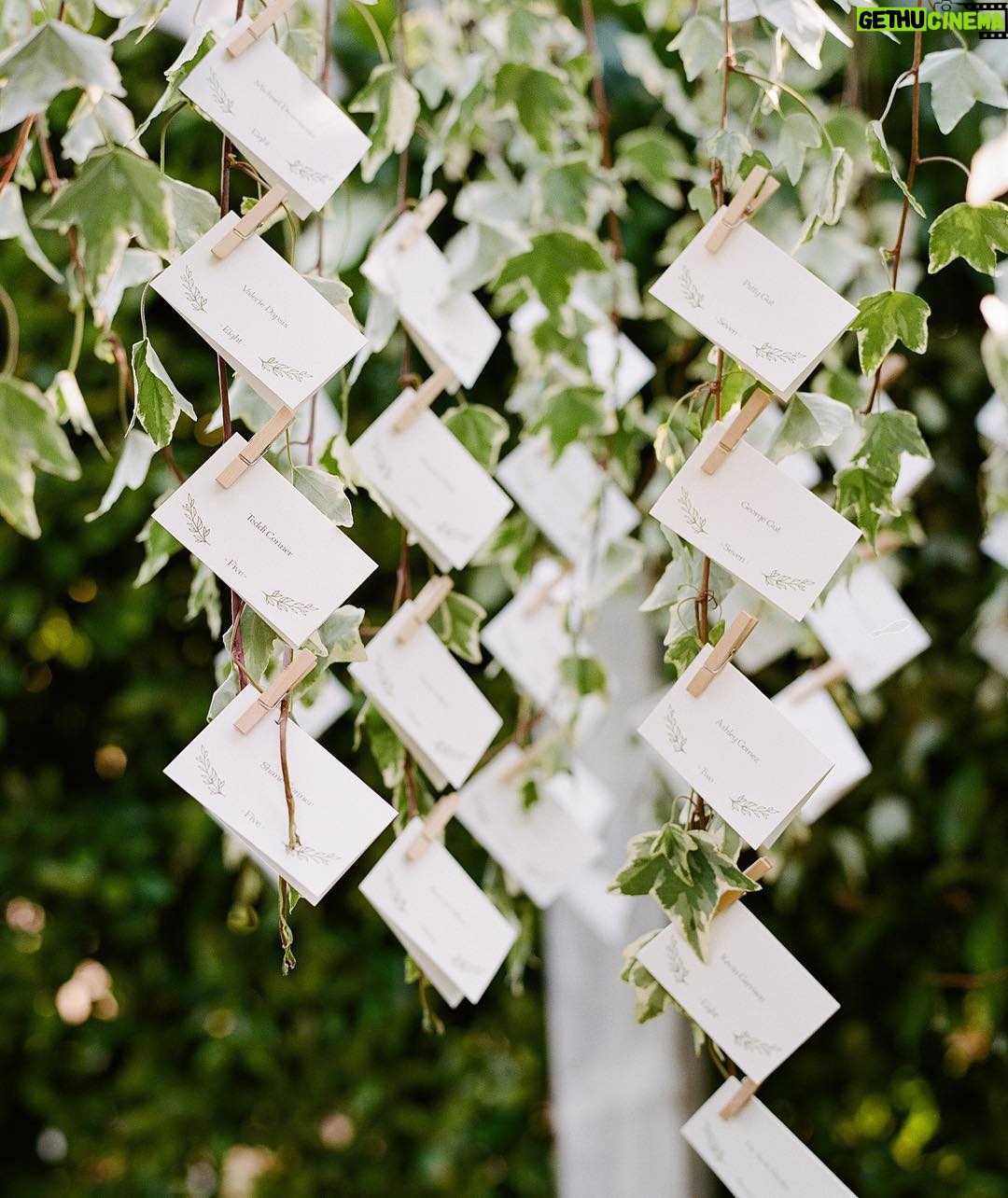 Elle Fowler Instagram - Table and seating cards for the guests hanging from vines 😍
