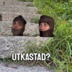 Ellen Bergström Instagram - Har du sten i skon eller?