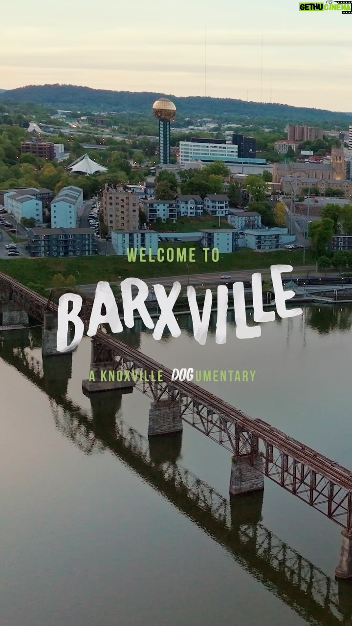 Ellie Holcomb Instagram - Ellie and I are now both officially voice actors. Enjoy our new characters as we celebrate National Love Your Pet Day! @visitknoxville #VisitBarxville