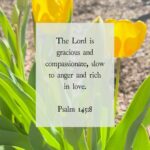 Ellie Holcomb Instagram - To be honest y’all, I cried when I read this Psalm today. May is crazy. I’ve been talking about it here on Instagram this week, trying to be real, trying to hopefully make other people feel less alone. And the stress that comes with ending a year and beginning a new season. I needed desperately, though, to be reminded of the grace and compassion that God has. I need grace and compassion for myself, for all my people, and it was so sweet to be reminded that God has grace and compassion with me, even when I am not slow to anger. Even when my patience is running thin, and the cortisol is pumping through my veins. If you are stressed, anxious, angry, overwhelmed, I am here to say in this little corner of Instagram that you are not alone. Wherever you are on the scale of emotion on the scale of stress, God is there to meet you and he is rich in love. Grace. Compassion. This is good news for my stressed out heart today. I hope it’s good news for you too. #fightingwords #fightingwordfriday #fwf #christiantiktok #scripture #bibleverses #verseoftheday #inspiration #devotional #ellieholcomb