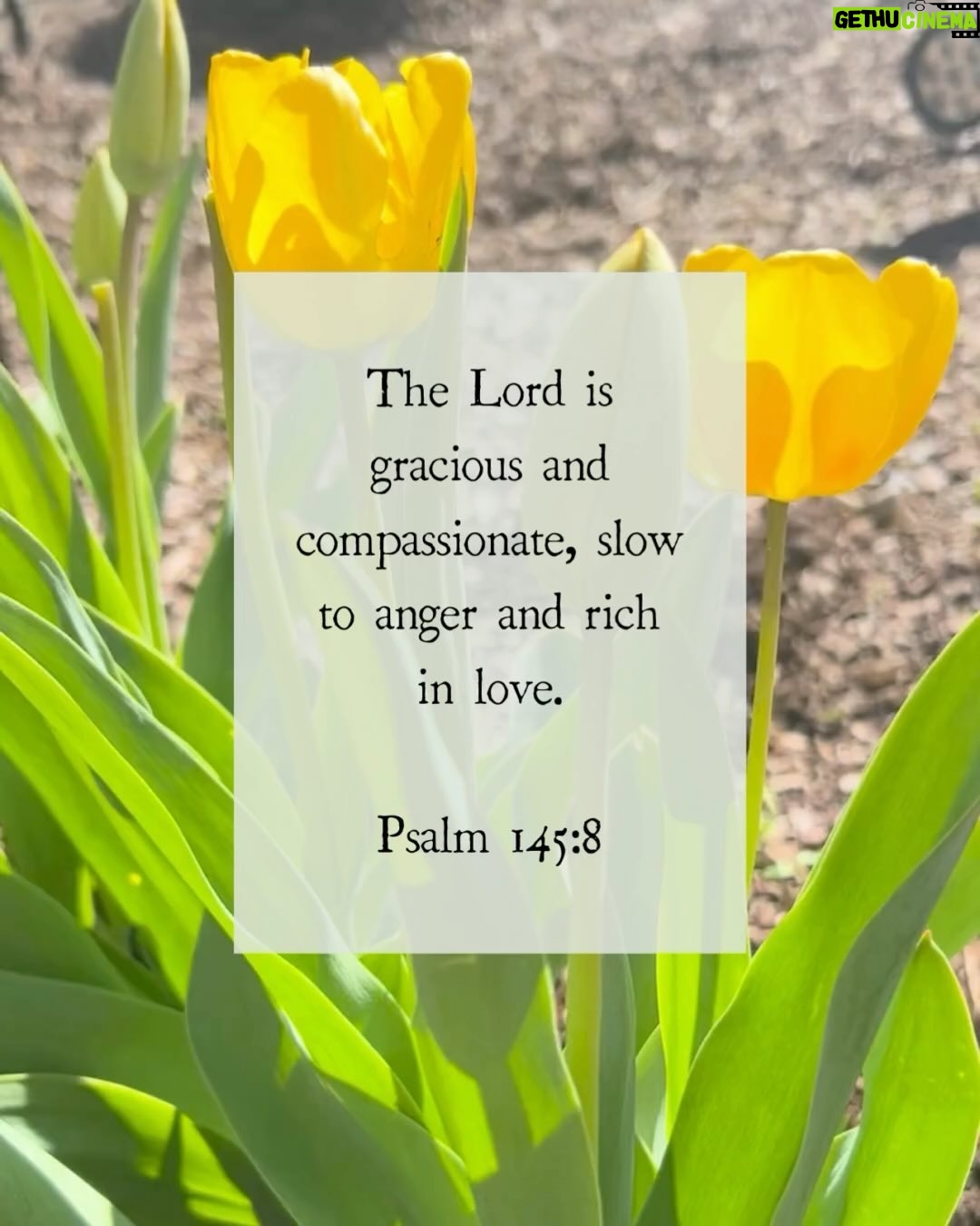 Ellie Holcomb Instagram - To be honest y’all, I cried when I read this Psalm today. May is crazy. I’ve been talking about it here on Instagram this week, trying to be real, trying to hopefully make other people feel less alone. And the stress that comes with ending a year and beginning a new season. I needed desperately, though, to be reminded of the grace and compassion that God has. I need grace and compassion for myself, for all my people, and it was so sweet to be reminded that God has grace and compassion with me, even when I am not slow to anger. Even when my patience is running thin, and the cortisol is pumping through my veins. If you are stressed, anxious, angry, overwhelmed, I am here to say in this little corner of Instagram that you are not alone. Wherever you are on the scale of emotion on the scale of stress, God is there to meet you and he is rich in love. Grace. Compassion. This is good news for my stressed out heart today. I hope it’s good news for you too. #fightingwords #fightingwordfriday #fwf #christiantiktok #scripture #bibleverses #verseoftheday #inspiration #devotional #ellieholcomb