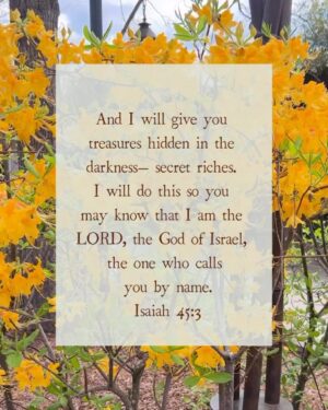 Ellie Holcomb Instagram - One of my friends connected to the Covenant Community sent this verse to me last week, as we were all grieving, remembering , and holding onto hope. She told me it was  the verse she was  clinging to for the week. I thought that was so beautiful, and had never honestly taken notice of that specific scripture, so I held onto it as well. 

Y’all. 

I don’t have enough words in this caption to tell all the ways that God placed treasure in the darkness of last week. It was stunning. The treasures didn’t take away the ache. They didn’t erase the pain of the anniversary of that tragic day, but they reminded me that we never walk through any dark night alone. I hope that this verse reminds you of the way Love gets the final word, no matter what. Not death. Not darkness. Not suffering. Love and Light win out in the end, but even as we walk through the dark nights of the soul, there is hidden treasure there to remind us where we came from, to remind us we are seen and loved and known by name. Oh God, give us eyes to see the hidden treasure and hearts to understand the measure of Your love for us…that walks beside us from the garden to the grave, and back home to the garden again. 
#fightingwords #fightingwordfriday #fwf #christiantiktok #scripture #bibleverses #verseoftheday #inspiration #devotional #ellieholcomb