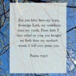 Ellie Holcomb Instagram - I love that this verse happened to surface for me right before Mother’s Day. Shout out to all the mommas out there, loving their babies, to the mommas sending their babies out into the world after graduation for the first time, mommas on their knees praying for the ones they love most, mommas who are tired not sleeping through the night with their babies, and mommas who are on a journey of infertility, longing to love and hold and raise up a precious little one, mommas who foster, mommas who adopt, mommas who mother others through ministry… all of you are beauties. One of the things I love about this verse is that it reminds me that as important every single momma out there is , there is a deep sense of security that any baby we are ever loving comes first from where every good thing comes from, the heart of God, so even though it’s our responsibility to raise and love and teach and guide these precious little ones, God is who carried them first and will carry them always. God is the one who carried YOU first and carries YOU always. God is our hope, our confidence, our strong and steady love that we can always rely on , a LOVE that will bring everyone of us back home one day. It feels like it gives us a reason to SING. So happy mothers day to all the mommas out there who love and care and carry and pray and provide and protect , and cheers to remembering that as we do all of that, the children we care for are carried by the strong , steady love of God, and SO ARE WE. Thank you Lord, that you are our HOPE. #fightingwords #fightingwordfriday #fwf #christiantiktok #scripture #bibleverses #verseoftheday #inspiration #devotional #ellieholcomb