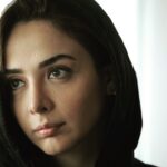 Elmira Dehghani Instagram -