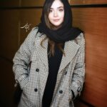 Elmira Dehghani Instagram - نشست خبری فیلم سینمایی پرویز خان به کارگردانی علی ثقفی و تهیه کنندگی عطا پناهی #فجر۴۲