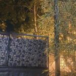 Elmira Dehghani Instagram – Mouse maze 
آوازهای گم شده