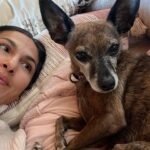 Elodie Yung Instagram - Hyena-couch time 🐾