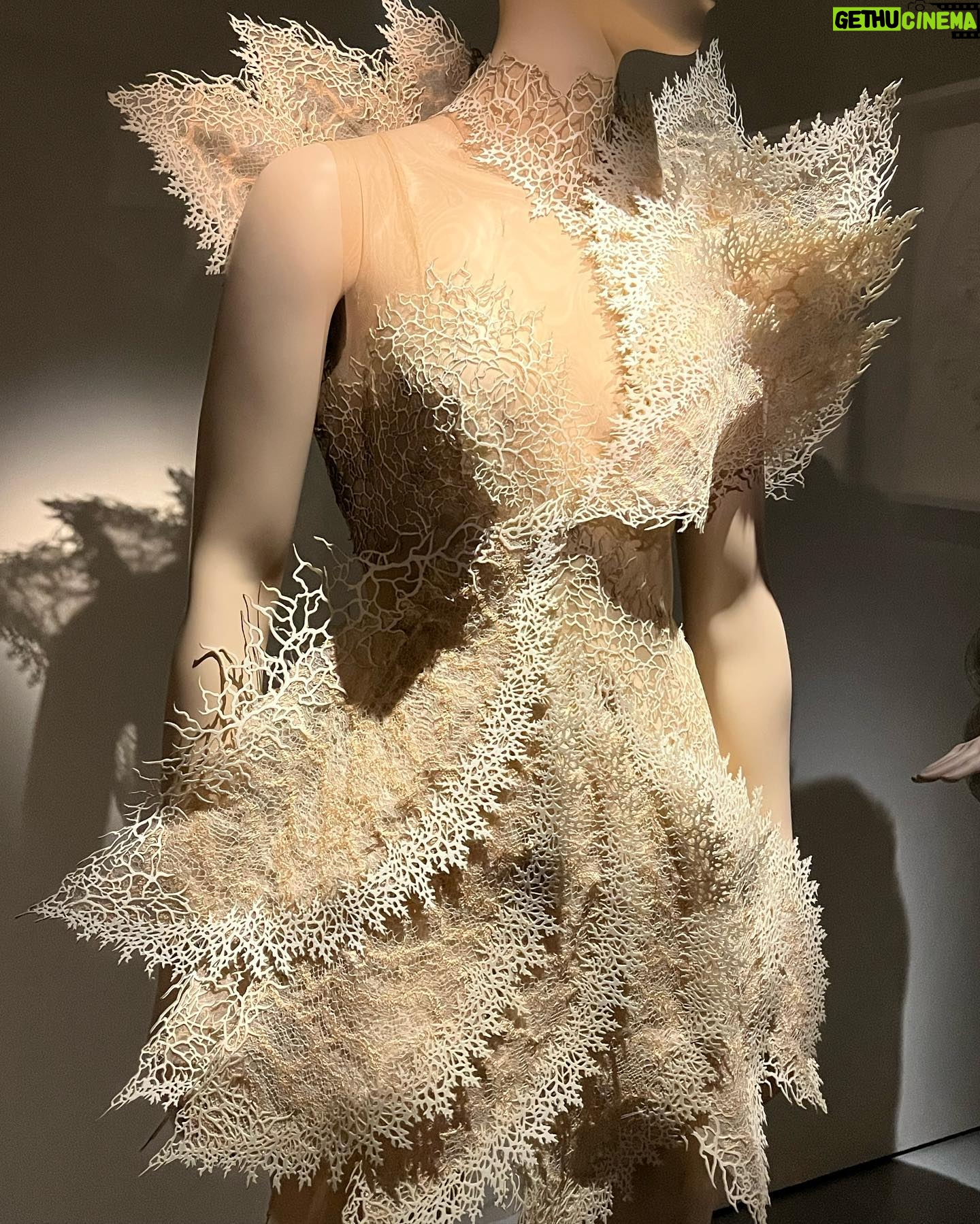 Eloise van Oranje Instagram - art in kind people, beautiful clothing, powerful sentences, new ideas, dreams, craftsmanship & good food