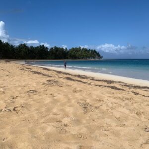 Elsa Fayer Instagram - Plage déserte , le rêve !  #paradiseisland #goodvibes #lovemyjob 🌴⛱