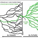 Elsa Punset Instagram – Últimamente, guardo a la vista esta viñeta de @waitbutwhy porque me recarga las pilas de  optimismo… (la he traducido para vosotr@s)#presente #optimismo #esperanza #creatividad