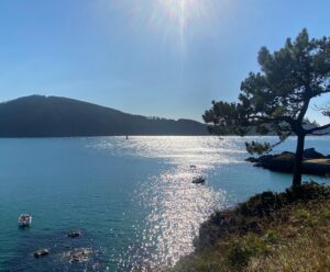 Elsa Punset Instagram - Galicia me da alegría con lluvia o con sol… pero hoy tocó sol, nadar y remar en este pequeño paraíso 🌞😀🥰 #galicia #riasaltas #recuperación