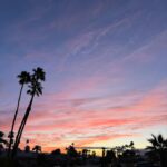 Elysia Rotaru Instagram - Some of the things going on these days… working on @youdidit_thepodcast (give it a listen & subscribe🙏) And something new coming soon… 🎙️(the link in BIO ) Waking up early for sunrise walks with @on @thule @ryslife & @theblackgsdrocky Farmers markets and fun times with… BB takin the drivers seat ( it’s in park don’t worry ) @rooandyou #rooper #thejoey @picassotiles ( use my code AFFYOUDIDIT ) Getting into #golf ( it’s about time ) with @ryslife 5 min #makeup w/ @ogee (use my code YOUDIDIT) And of course making time to soak it ALL IN ❤️❤️❤️