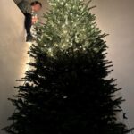 Elysia Rotaru Instagram - Lately… been up 🪜all over the house, gettin it ready for 🎄and hanging with my ❤️’s