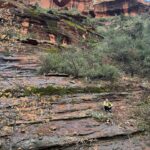 Elysia Rotaru Instagram - Beyond Thankful 🧡❤️🧡❤️🧡❤️🧡❤️🧡❤️🧡❤️🧡 #photodump pt 2 #sedona #hiking #boyntoncanyon #vortex #redearth #mountains #kachinawoman #miiamospa #fiveyears @ryslife @relaischateaux @mii_amo_spa 🌲 ALSO what tree is this on pic 8 ? It’s the perfect smell. ALSO thank you @gustafsonperformancecenter for getting me up and moving so I can climb this mountain, and more to come! 🏜️