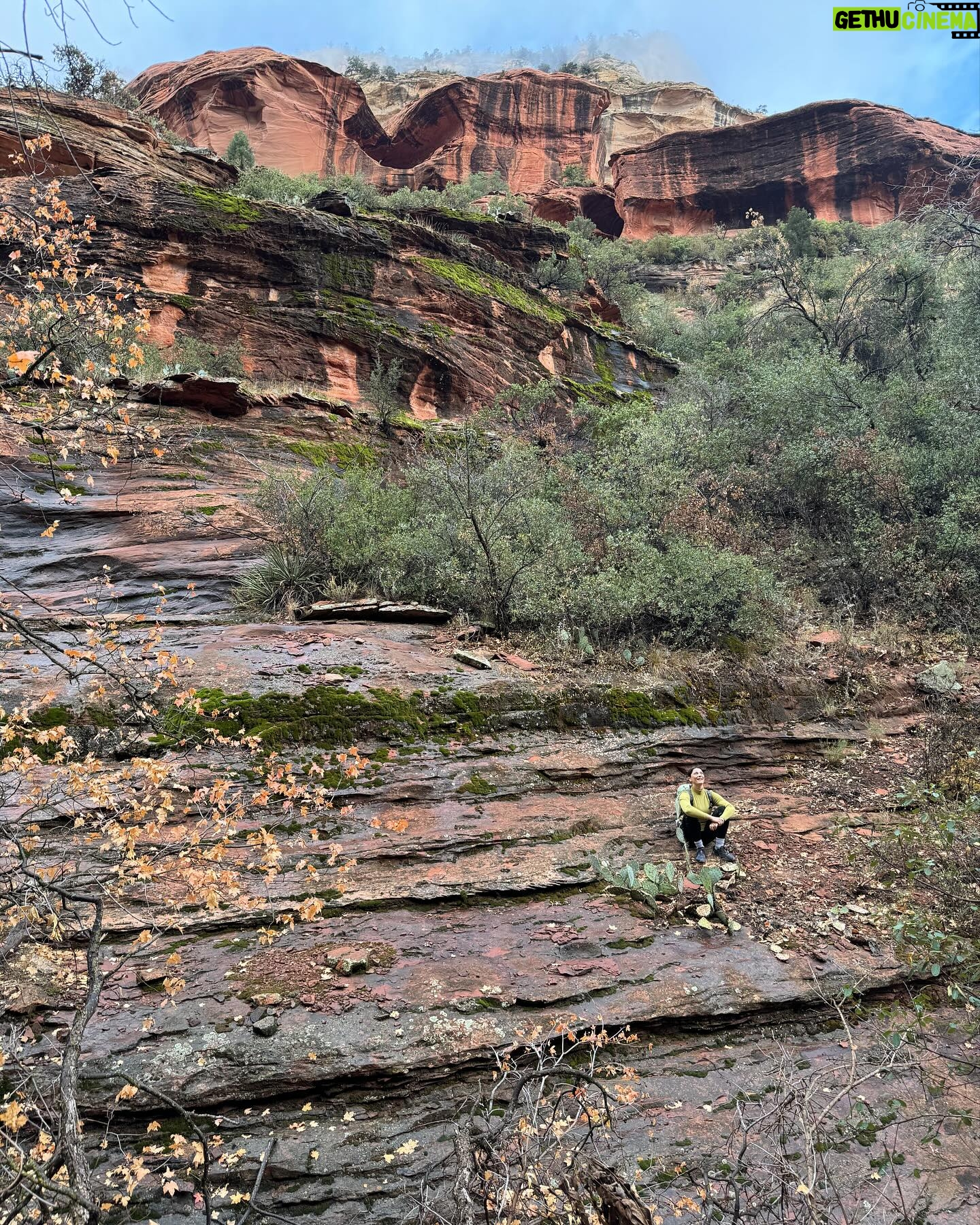 Elysia Rotaru Instagram - Beyond Thankful 🧡❤️🧡❤️🧡❤️🧡❤️🧡❤️🧡❤️🧡 #photodump pt 2 #sedona #hiking #boyntoncanyon #vortex #redearth #mountains #kachinawoman #miiamospa #fiveyears @ryslife @relaischateaux @mii_amo_spa 🌲 ALSO what tree is this on pic 8 ? It’s the perfect smell. ALSO thank you @gustafsonperformancecenter for getting me up and moving so I can climb this mountain, and more to come! 🏜️