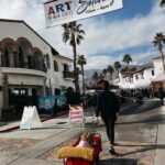Elysia Rotaru Instagram - Friday to Friday had lot of F words like … Fantastic Friends, food, flowers, farmers markets, family, feasting, fun, feel-good, films, high frequency festivities, flood, Friyay. . . . @rooandyou #rooper #thejoey