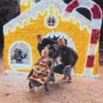 Elysia Rotaru Instagram – #tistheseason for Christmas markets, catching up on loads of laundry, baking, organizing gemstones, family and friends, good ol’festive fun and a hole in one. ⛳️ 
#christmasinthedesert🎄🌵