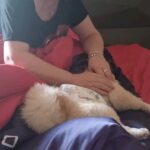 Emel Müftüoğlu Instagram - Kityyle sabah rütüelimiz @baykittyy @cagrimuftuoglu