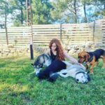 Emel Müftüoğlu Instagram - Kopek diliyle icer suyu kurt soluguyla yureginin kokusunu tasir boynundaki kutup cicegi...ofkeli deil lacivert yirtici deil sicak ne guzel yazmis cemal sureyya @cagrimuftuoglu