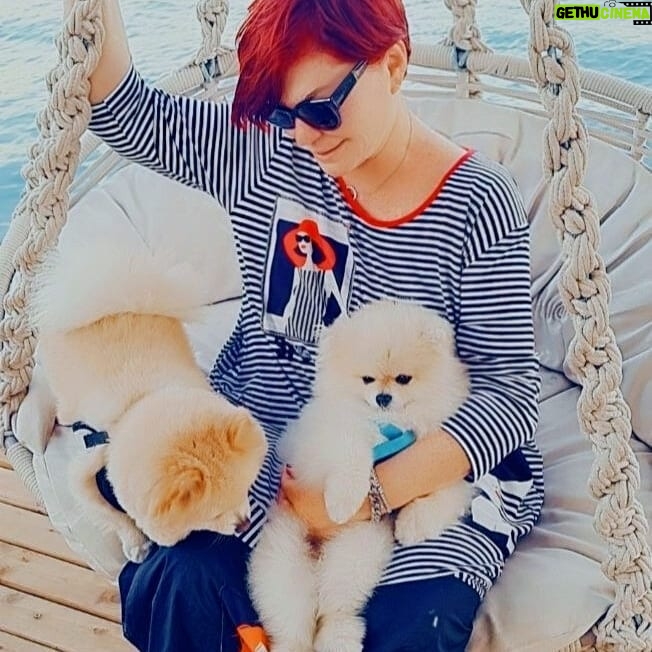 Emel Müftüoğlu Instagram - Kityy yine asik oldu humanist desem olmaz sipsevdide deil aslinda bilemedim🙈🙈🙈😂😂😂@cagrimuftuoglu @duygusugulpinarofficial @baykittyy