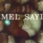 Emel Sayın Instagram - 🧿 Bodrum Günay’daki programımıza Azerbaycan Tv’leri de geldi. Çok mutlu oldum. Çünkü men sizi özümden sevirem ❤️