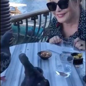 Emel Sayın Instagram - 🧿 çok tatlılar 🐦‍⬛🐦‍⬛🐦‍⬛❤️🙏🏻❤️🧿