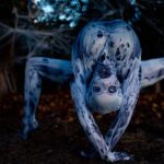 Emerald Gordon Wulf Instagram - "Being normal is vastly overrated." —Halloweentown 🕸🕷🕸 Photos by @kalialexsis #contortion #contortionist #flexible #flexibility #circus #freak #horrormovies #horror #creepy #creepypasta #scary #terror #horrormovie #monster #spider #arachnid #arachnophobia