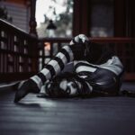 Emerald Gordon Wulf Instagram - I couldn’t stop laughing with this nose 🤥 Should I post the video of me trying to scare some tourists but failing miserably when my wig fell off? Photos by @kalialexsis #fail #Contortion #contortionist #flexible #flexibility #scary #horrormovies #horror #creepy #creepypasta #laughingjack #it #clown
