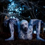 Emerald Gordon Wulf Instagram - "Being normal is vastly overrated." —Halloweentown 🕸🕷🕸 Photos by @kalialexsis #contortion #contortionist #flexible #flexibility #circus #freak #horrormovies #horror #creepy #creepypasta #scary #terror #horrormovie #monster #spider #arachnid #arachnophobia