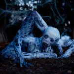 Emerald Gordon Wulf Instagram - "Being normal is vastly overrated." —Halloweentown 🕸🕷🕸 Photos by @kalialexsis #contortion #contortionist #flexible #flexibility #circus #freak #horrormovies #horror #creepy #creepypasta #scary #terror #horrormovie #monster #spider #arachnid #arachnophobia