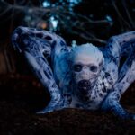 Emerald Gordon Wulf Instagram - "Being normal is vastly overrated." —Halloweentown 🕸🕷🕸 Photos by @kalialexsis #contortion #contortionist #flexible #flexibility #circus #freak #horrormovies #horror #creepy #creepypasta #scary #terror #horrormovie #monster #spider #arachnid #arachnophobia