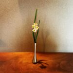 Emi Takei Instagram -