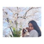 Emi Takei Instagram - 🌸