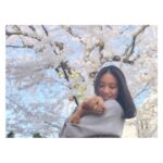 Emi Takei Instagram - 🌸