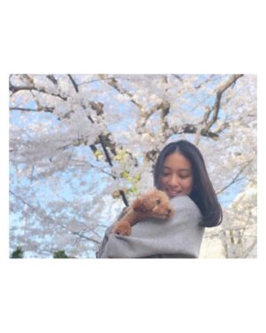 Emi Takei Instagram - 🌸